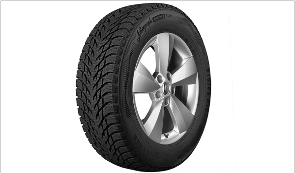 Шина Ikon Autograph Snow 3 SUV 255/70 R18 116R
