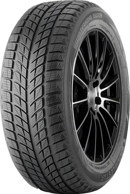 1129975559_main Шина Double Star DW09 215/55 R18 95H — изображение 1