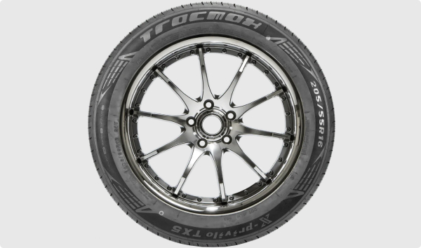 Шина Tracmax X-Privilo TX5 205/55 R16 91V
